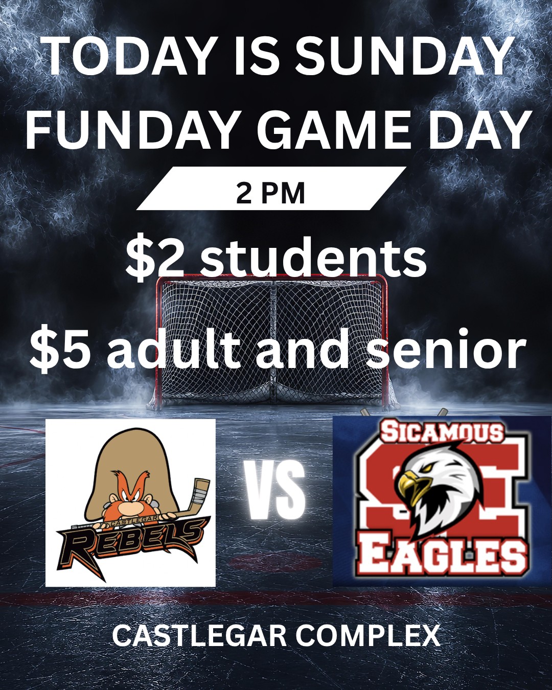 Come on down to the Castlegar Complex for an afternoon of exciting hockey action. Cheer on your hometown Castlegar Rebels as they take on the visiting Sicamous Eagles. Game time 2pm. SUNDAY SPECIAL - $2 STUDENTS $5 SENIOR AND ADULT